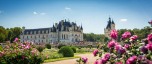 Chateau-de-la-Loire